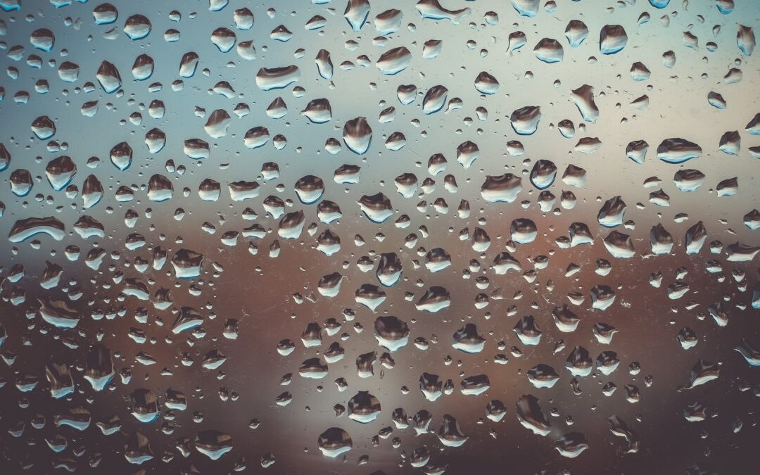 TRANSPARENCY