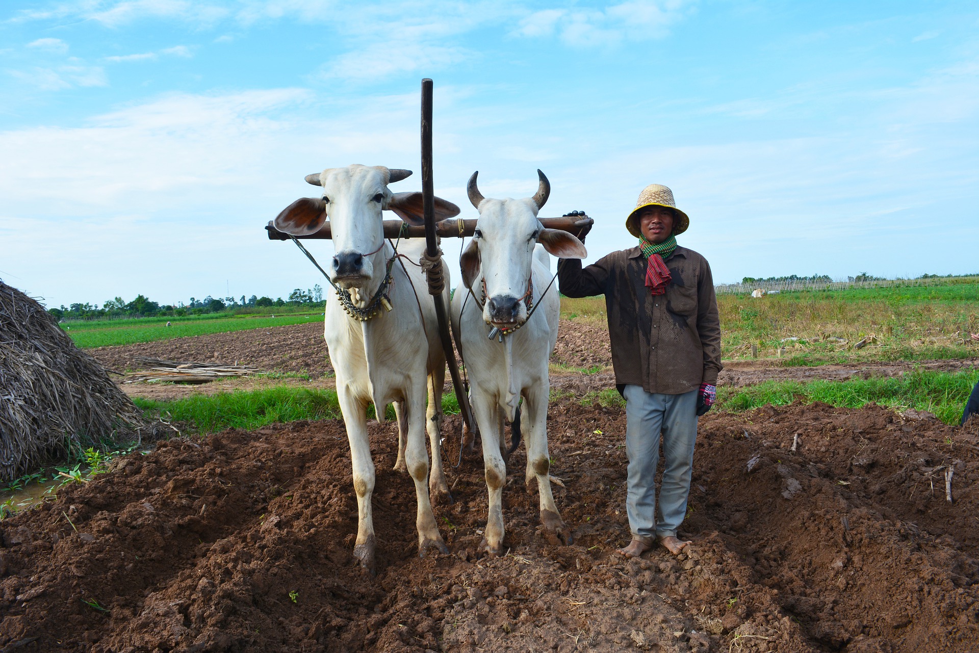 farmer-4485955_1920