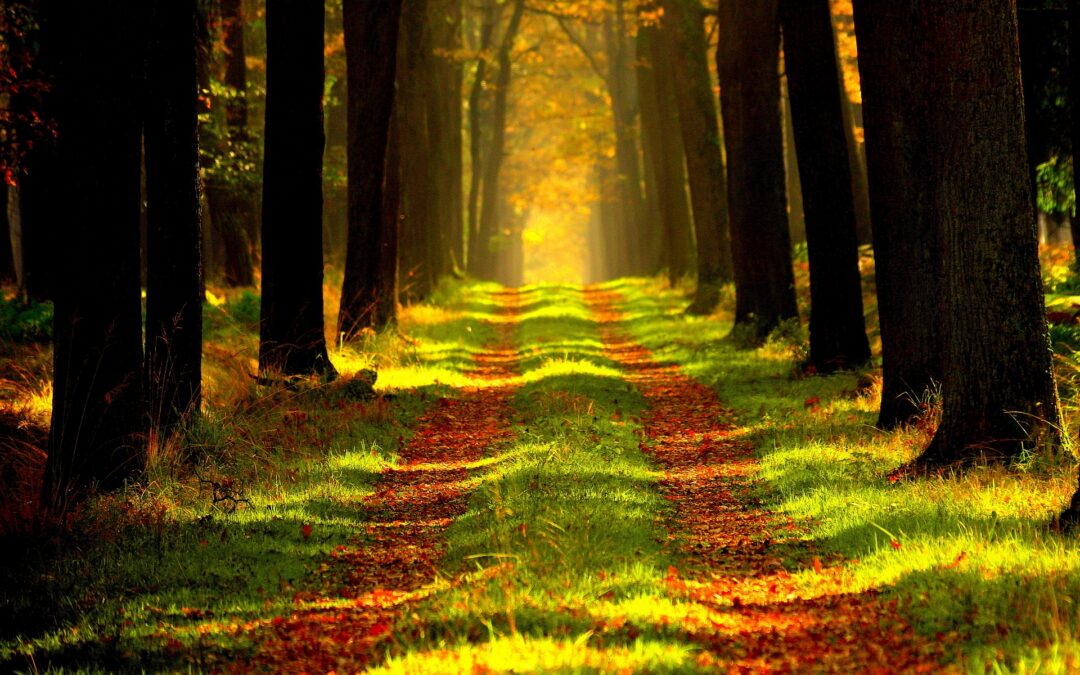 GOD’S WAY IS *THE* WAY