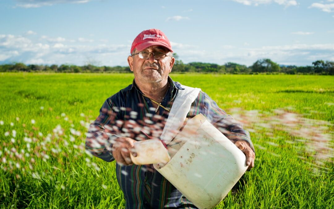 LESSONS FROM A FARMER…