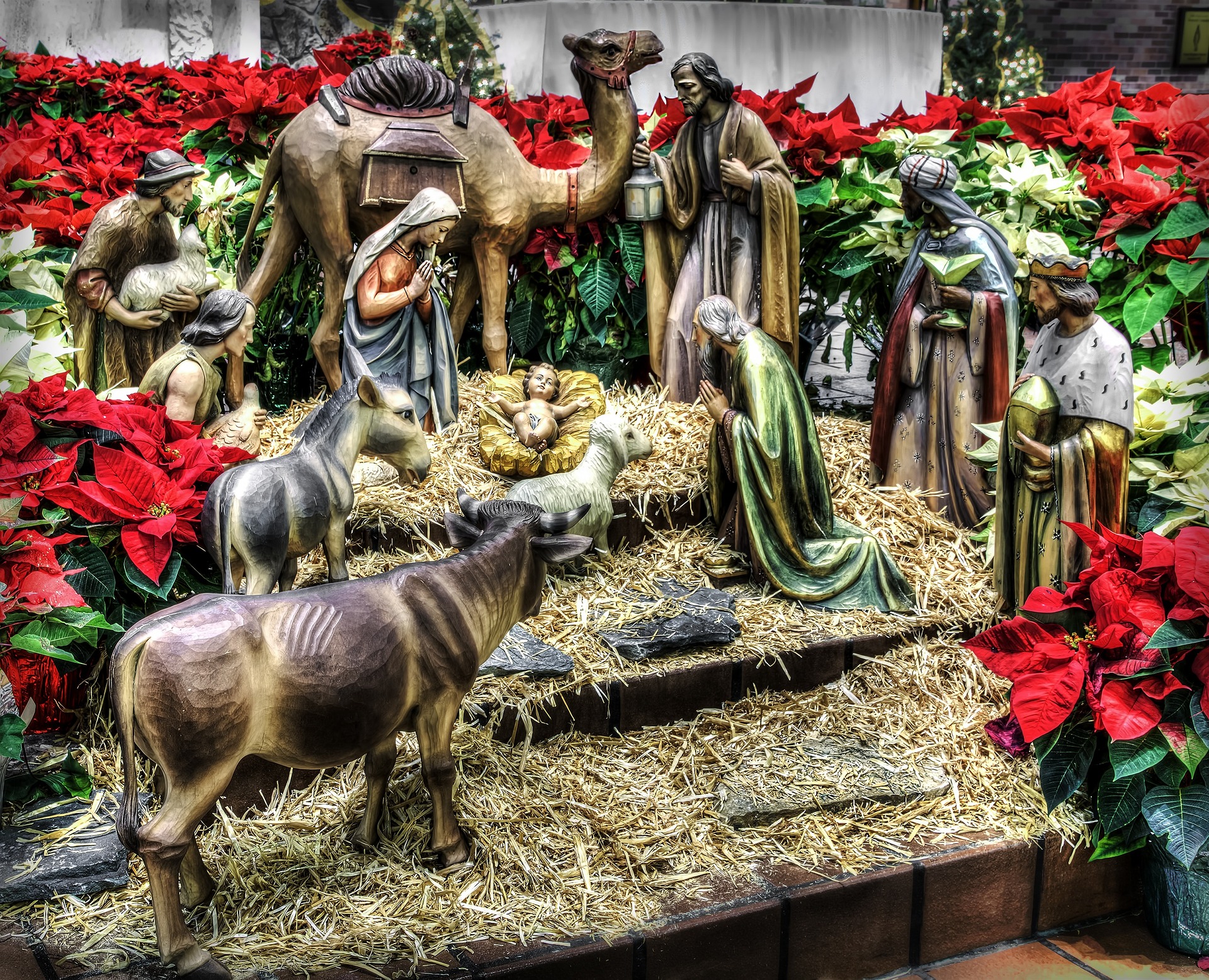 nativity-596934_1920